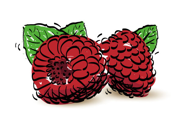 dalhousie raspberries